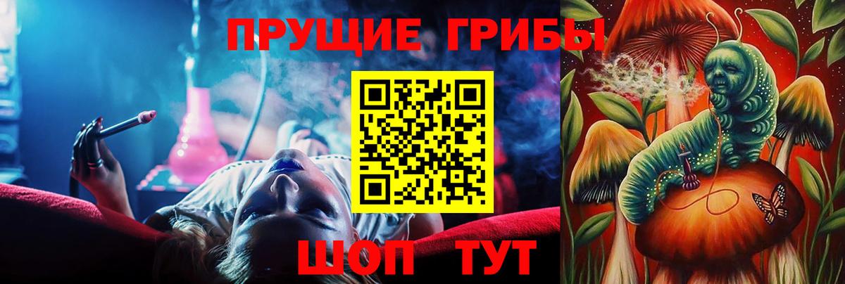 Псилоцибиновые грибы Psilocybine cubensis Фурманов